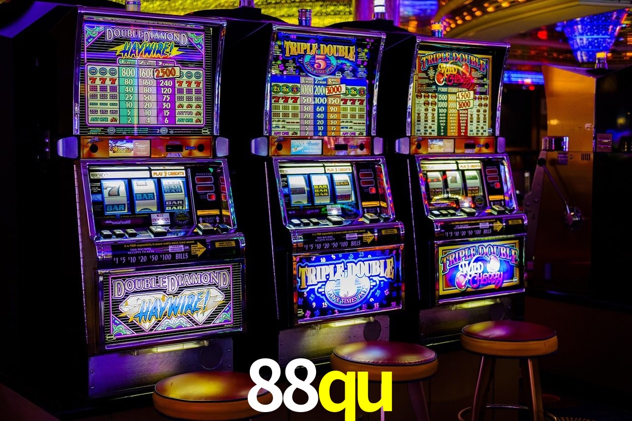 Programa VIP 88qu